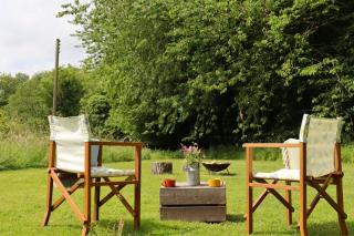 Lilypad, Iris and Bulrush - 4