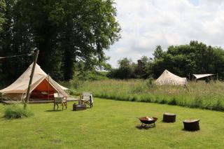 Lilypad, Iris and Bulrush - Swannington - 5