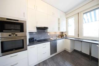 Spacious Zurich Apt Huge Terrace & Views - Zurigo - 1