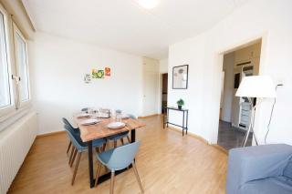 Spacious Zurich Apt Huge Terrace & Views - Zurich - 8