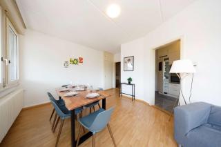 Spacious Zurich Apt Huge Terrace & Views - 7