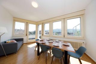 Spacious Zurich Apt Huge Terrace & Views - Zurich - 6