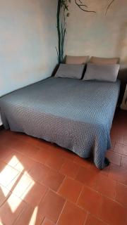 Villa Calypso - Hyères - 5