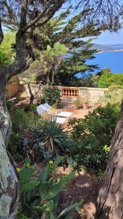 Villa Calypso - Hyères - 4