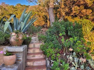 Villa Calypso - Hyères - 3