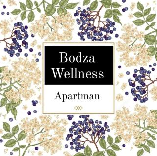 Bodza Wellness Apartman - 8