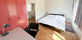 Schönes Single Apartment mit Blick auf den Main - 2