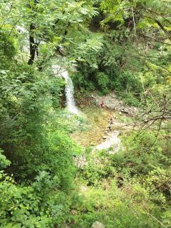 Tirthan Hill Wander Stay - 2