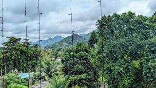 Royal Lion Hotel - Galagedara - 5
