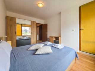 Cozy 1BD Flat in Pirin Sense by Flat Manager - Bansko - 0