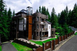 Castelul de Piatra - Păltiniş - 0