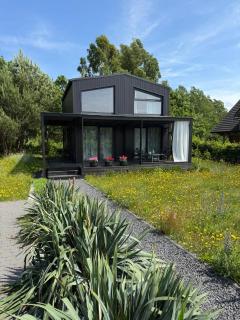 Baltic Cube - Debina - 0
