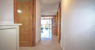 Cozy apartment Benidorm - Benidorm - 1
