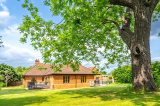 Large indoor swimming pool in Thetford Forest - The Pool House - Downham - 8