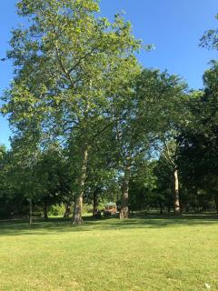 Stylish Flat in Queens Park with Private Parking, Central London Access - 1
