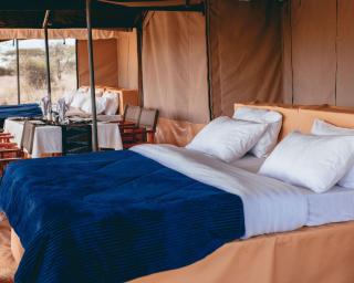 Pamoja Migration Camp - Serengeti - 1