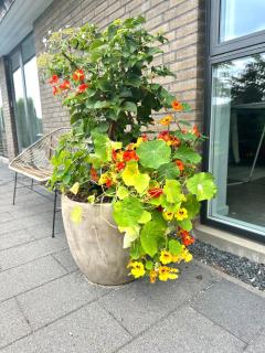 House close to Legoland,Lalandia,WowPark - Billund - 1