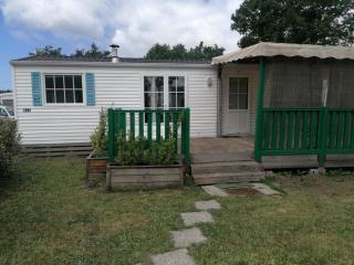 MOBILHOME 40 m2 climatisé, domaine La Lande MIMIZAN - Mimizan - 8