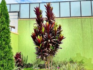 BnB MOUNTAIN VIEW - KIGALI - Kigali - 3