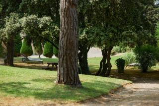 Hôtel Birdy by Happyculture - Aix-en-Provence - 4