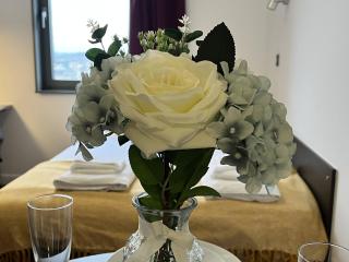 Pure Astor House - Plymouth - 0