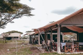 Pamoja Migration Camp - Serengeti - 8