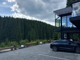 Шишка - Bukovel - 7