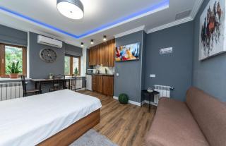 #2 VIP Studio near Gulliver - Kiev - 3