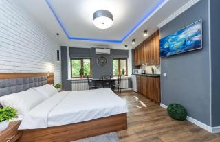 #2 VIP Studio near Gulliver - Kiev - 1
