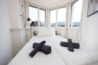 Basic & Cozy Zurich Studio Central & Walkable - Zürich - 3