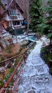 Villa Byala Luna - Guest House - Bistritsa - 2