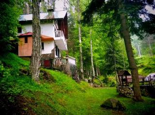 Villa Byala Luna - Guest House - Bistritsa - 6