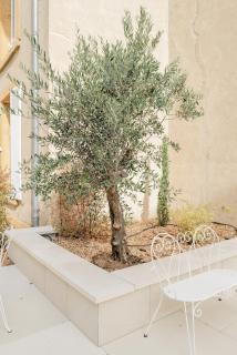 Château du Bost, 21 personnes, piscine, Beaujolais, Blacé proche Lyon - 6