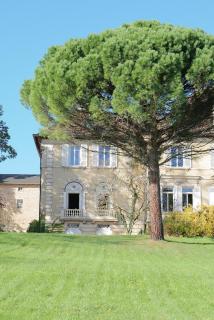 Château du Bost, 21 personnes, piscine, Beaujolais, Blacé proche Lyon - 4