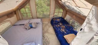 Camping Parknight Tents - Piqeras - 4
