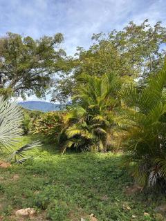Cerca de Neiva Hermosa Casa Campestre con Piscina Natural - Rivera - 8