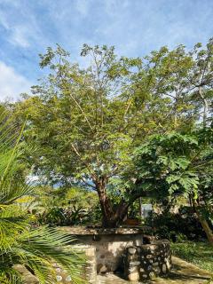 Cerca de Neiva Hermosa Casa Campestre con Piscina Natural - Rivera - 4