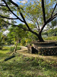 Cerca de Neiva Hermosa Casa Campestre con Piscina Natural - Rivera - 2