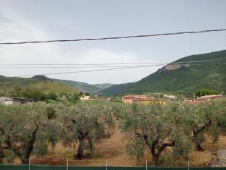 B&B Casetta Ninfa - Sermoneta - 5