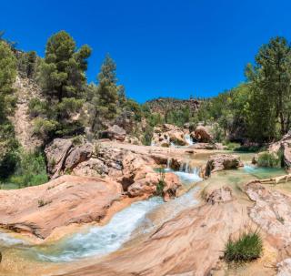 Doce de Colón C - Requena - 9