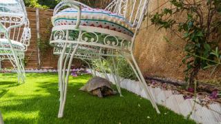 Acropolis Koukaki Loft Private Garden - Athens - 6