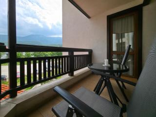 Charming 1BD Flat at Edelweiss Inn, Bansko - Bansko - 9