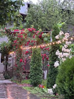 Narek B&B - 0