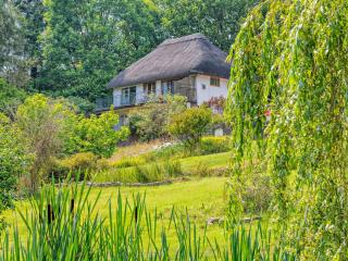 3 bed property in Godshill New Forest 56431 - Godshill - 0