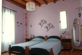 Vereniki Andros guesthouse - Mpatsi (Batsi) - 8