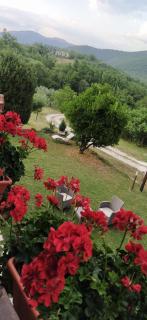 Cascinetto - - 3