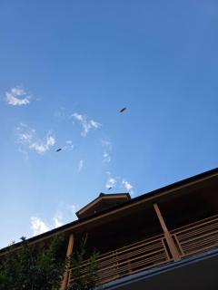 Zankhrpas A Himalayan Home - Manali - 4