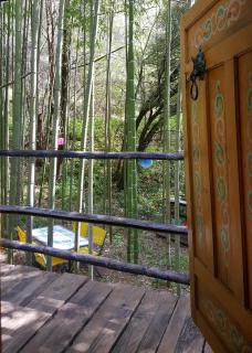 La Yourte aux Bambous en Cévennes - 5