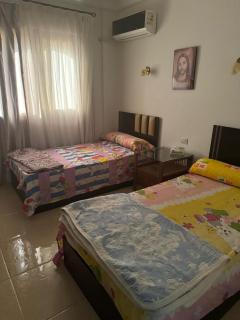 La vista 6 - Ain Sukhna - 6