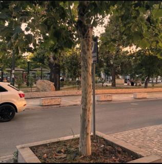 Lord Byron Boutique Studio Suite - Vlorë - 8